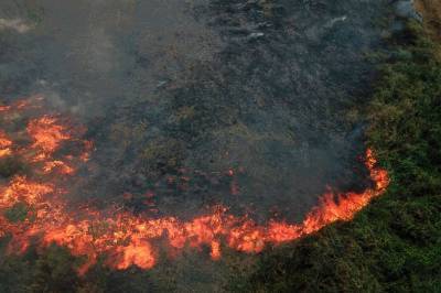 Амазония вновь в огне: пожарные не могут потушить пожары - inform-ua.info