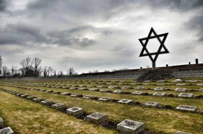 Жертвы холокоста требуют от Германии компенсации за трансфер в концлагерь - argumenti.ru - Германия - Голландия