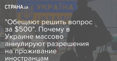 "Обещают решить вопрос за $500". Почему в Украине массово аннулируют разрешения на проживание иностранцам - strana.ua - Украина - Киев - Египет