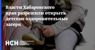 Михаил Дегтярев - Власти Хабаровского края разрешили открыть детские оздоровительные лагеря - nsn.fm - Хабаровский край