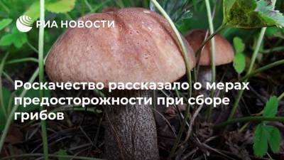 Роскачество рассказало о мерах предосторожности при сборе грибов - ria.ru
