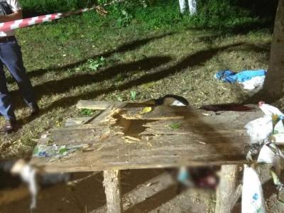 В черниговском селе от взрыва гранаты погибли двое мужчин и женщина - gordonua.com - Украина - Черниговская обл.