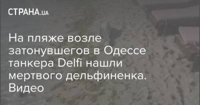 На пляже возле затонувшегов в Одессе танкера Delfi нашли мертвого дельфиненка. Видео - strana.ua - Одесса - Новости Одессы