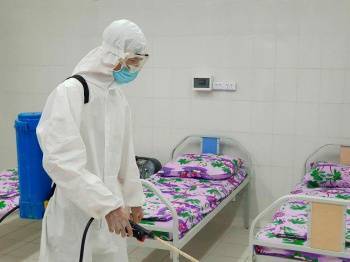 В Узбекистане за день выявили 215 новых случаев заражения коронавирусом. Общее число инфицированных достигло 23773 - podrobno.uz - Узбекистан - Ташкент