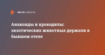 Анаконды и крокодилы: экзотических животных держали в бывшем отеле - ren.tv - Краснодар