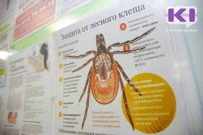 В Коми за неделю клещи покусали 39 человек - komiinform.ru - респ. Коми