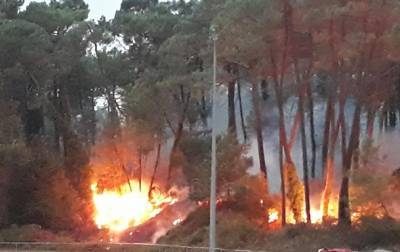 Во Франции за ночь сгорели 165 гектаров леса - korrespondent.net - Франция