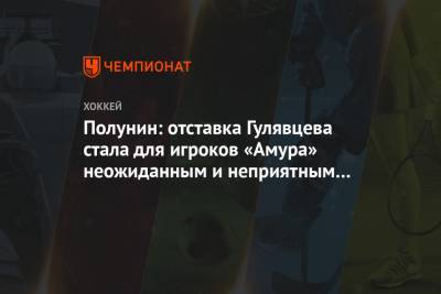Александр Полунин - Полунин: отставка Гулявцева стала для игроков «Амура» неожиданным и неприятным событием - championat.com - Хабаровск