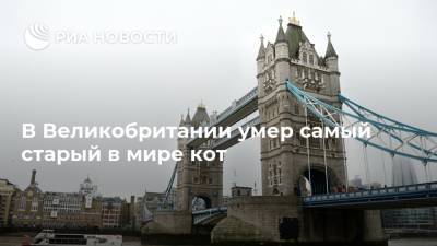 В Великобритании умер самый старый в мире кот - ria.ru - Москва - Англия