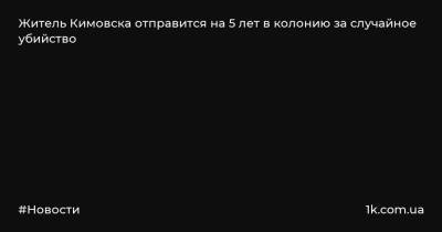 Житель Кимовска отправится на 5 лет в колонию за случайное убийство - 1k.com.ua - Кимовск - район Кимовский