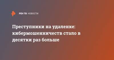 Илья Сачков - Преступники на удаленке: кибермошенничеств стало в десятки раз больше - ren.tv