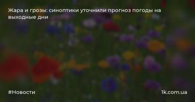 Жара и грозы: синоптики уточнили прогноз погоды на выходные дни - 1k.com.ua - Украина - Киев - Житомир - Винница