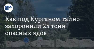 Екатерина Сычкова - Как под Курганом тайно захоронили 25 тонн опасных ядов - ura.news