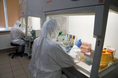 Майкл Райан - В России провели более 20,7 миллиона тестов на коронавирус - aif.ru - Россия - Московская обл.