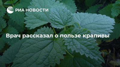 Михаил Гинзбург - Врач рассказал о пользе крапивы - ria.ru - Москва