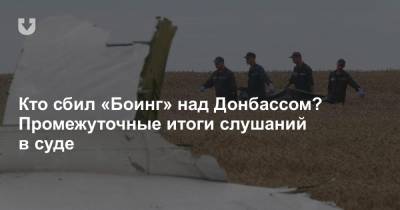 Олег Пулатов - Кто сбил «Боинг» над Донбассом? Промежуточные итоги слушаний в суде - news.tut.by - Россия - Голландия - Амстердам - Гаага