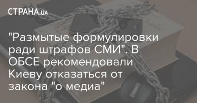 "Размытые формулировки ради штрафов СМИ". В ОБСЕ рекомендовали Киеву отказаться от закона "о медиа" - strana.ua - Украина - Киев