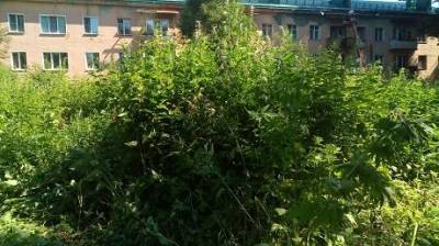 Глас народа | По участку у музея народного творчества страшно ходить - penzainform.ru - Пенза - Благоустройство