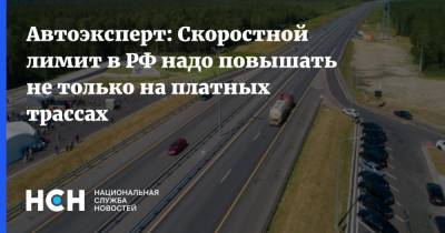 Вячеслав Петушенко - Автоэксперт: Скоростной лимит в РФ надо повышать не только на платных трассах - nsn.fm - Россия