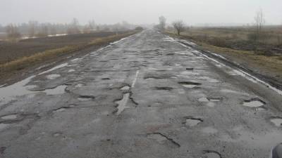 Евгений Дитрих - Российское министерство будет просить средства на строительство дорог у граждан - ghall.com.ua