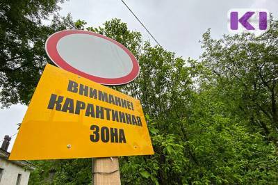 COVID-19 в городах и районах Коми: актуальные цифры на 4 июля - komiinform.ru - респ. Коми