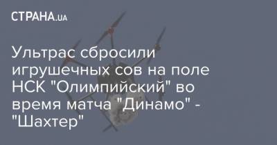 Ультрас сбросили игрушечных сов на поле НСК "Олимпийский" во время матча "Динамо" - "Шахтер" - strana.ua - Украина - Киев - Донецк - Харьков