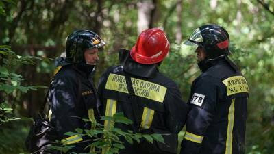 В Зеленограде при пожаре в многоэтажке погиб один человек - iz.ru - Якутск - Зеленоград