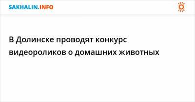 В Долинске проводят конкурс видеороликов о домашних животных - sakhalin.info - Долинск