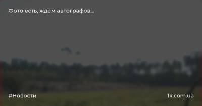 Фото есть, ждём автографов… - 1k.com.ua - Украина - Англия - Польша - Варшава