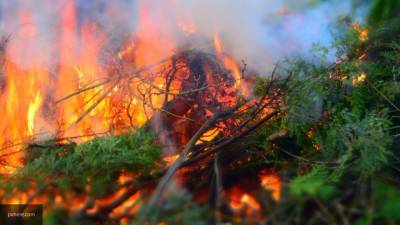 Правительство Иркутской области подтвердило ликвидацию 22 лесных пожаров - newinform.com - Иркутская обл. - район Усольский