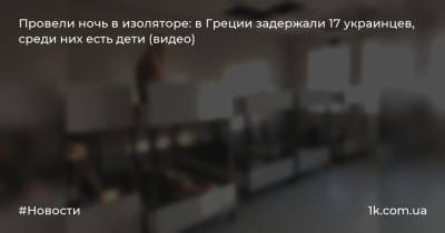 Провели ночь в изоляторе: в Греции задержали 17 украинцев, среди них есть дети (видео) - 1k.com.ua - Украина - Киев - Афины - Греция