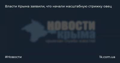 Андрей Рюмшин - Власти Крыма заявили, что начали масштабную стрижку овец - 1k.com.ua - Крым