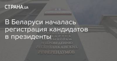 Александр Лукашенко - Анна Канопацкая - Андрей Дмитриев - Виктор Бабарико - Валерий Цепкало - Светлана Тихановская - Сергей Черечень - В Беларуси началась регистрация кандидатов в президенты - strana.ua - Белоруссия