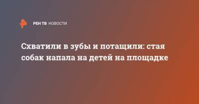 Схватили в зубы и потащили: стая собак напала на детей на площадке - ren.tv - Тольятти