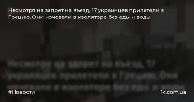 Несмотря на запрет на въезд, 17 украинцев прилетели в Грецию. Они ночевали в изоляторе без еды и воды - 1k.com.ua - Киев - Афины - Греция