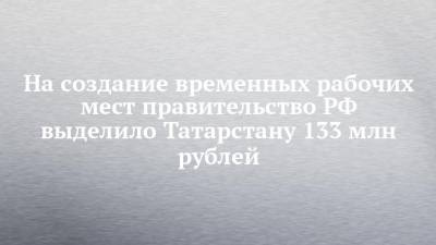 Михаил Мишустин - На создание временных рабочих мест правительство РФ выделило Татарстану 133 млн рублей - chelny-izvest.ru - Россия - респ. Татарстан