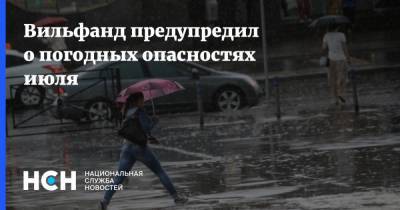 Роман Вильфанд - Вильфанд предупредил о погодных опасностях июля - nsn.fm - Москва - Россия