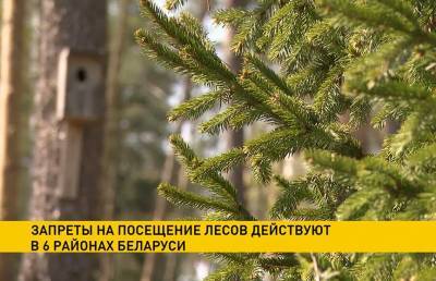 Запреты на посещение лесов действуют в шести районах Беларуси - ont.by - Белоруссия - Гомельская обл. - район Ветковский - район Молодечненский