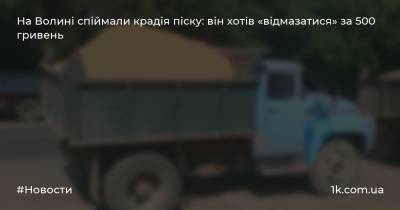 На Волині спіймали крадія піску: він хотів «відмазатися» за 500 гривень - 1k.com.ua - Украина