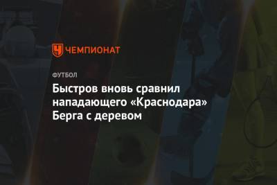 Владимир Быстров - Маркус Берг - Быстров вновь сравнил нападающего «Краснодара» Берга с деревом - championat.com - Краснодар