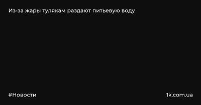 Дмитрий Миляев - Из-за жары тулякам раздают питьевую воду - 1k.com.ua - Украина - Тула