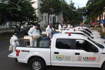 В Имеретии провели мероприятия для борьбы с мраморными клопами - newsgeorgia.ge - Грузия