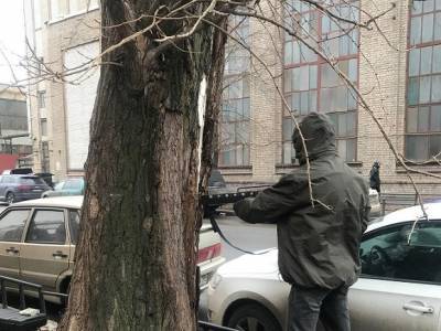 Александр Сапожников - В Чите объявили вознаграждение за помощь в поисках вандалов, просверливших около 100 деревьев в центре города - rosbalt.ru - Чита