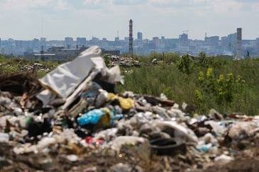В Сибири мэр города пригрозил голодовкой протеста против строительства новой свалки - znak.com - Новосибирск - Бердск - район Искитимский
