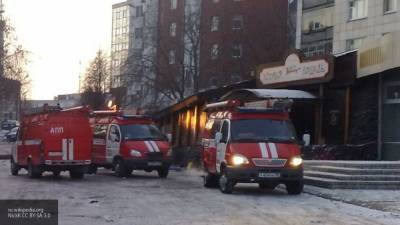 Пострадавшая при пожаре в "Хромой лошади" Ирина Пекарская умерла, не приходя в себя - newinform.com - Пермь