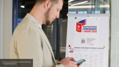МВД РФ сообщило о попытках внешнего воздействия на голосование по поправкам - newinform.com - Россия