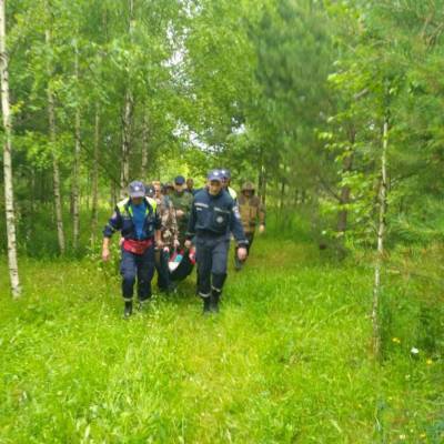 В Глазовском районе спасли бабушку, которая два дня была в лесу - gorodglazov.com - респ. Удмуртия - район Глазовский