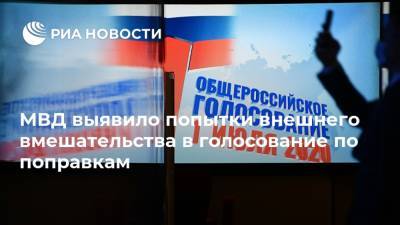 Игорь Зубов - МВД выявило попытки внешнего вмешательства в голосование по поправкам - ria.ru - Москва - Россия