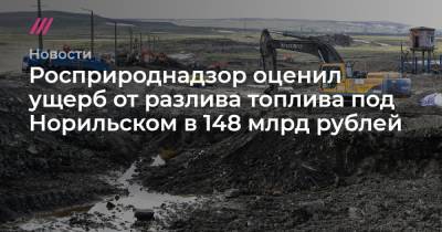 Кирилл Кухмарь - Росприроднадзор оценил ущерб от разлива топлива под Норильском в 148 млрд рублей - tvrain.ru - Норильск