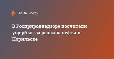 В Росприроднадзоре посчитали ущерб из-за разлива нефти в Норильске - ren.tv - Норильск